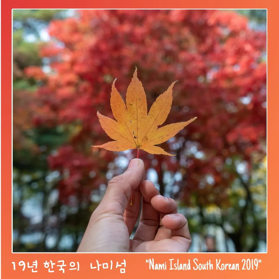Momen di Korea